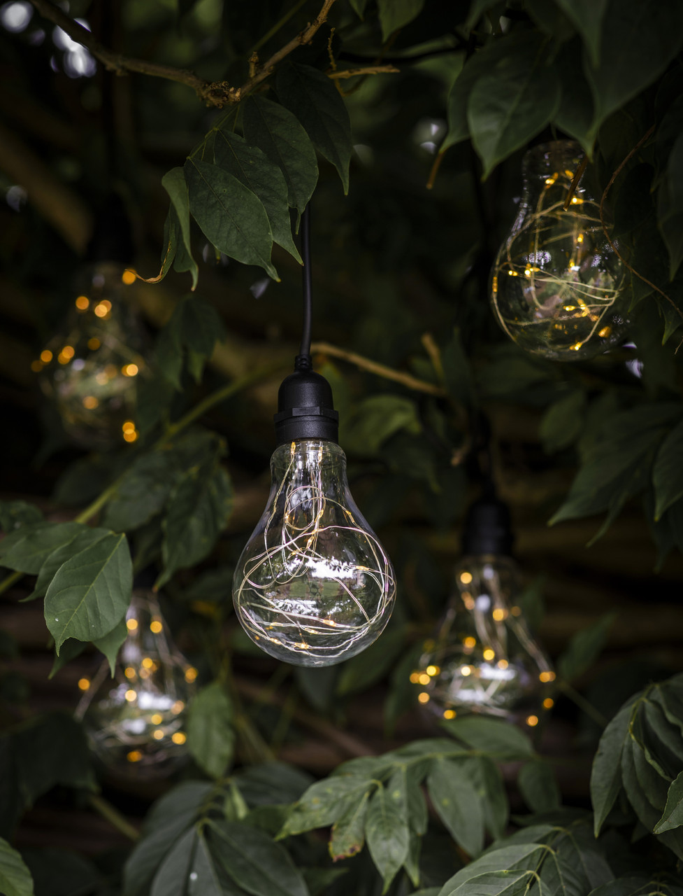 Indoor Outdoor Battery Powered Festoon Cluster Lights | Garden Trading