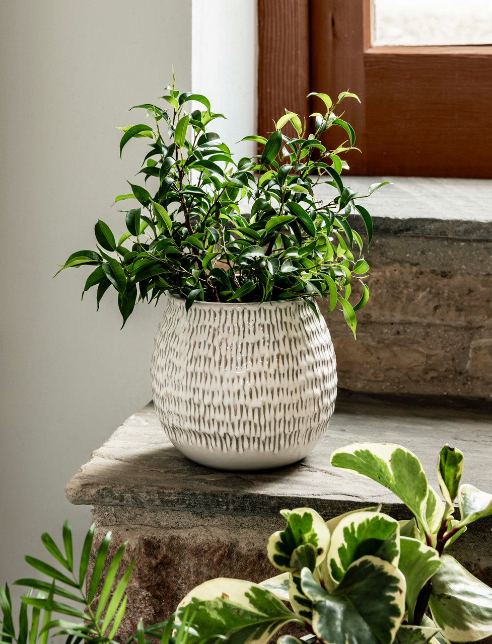 Winkleigh Pot 18cm - Stoneware, White | Garden Trading