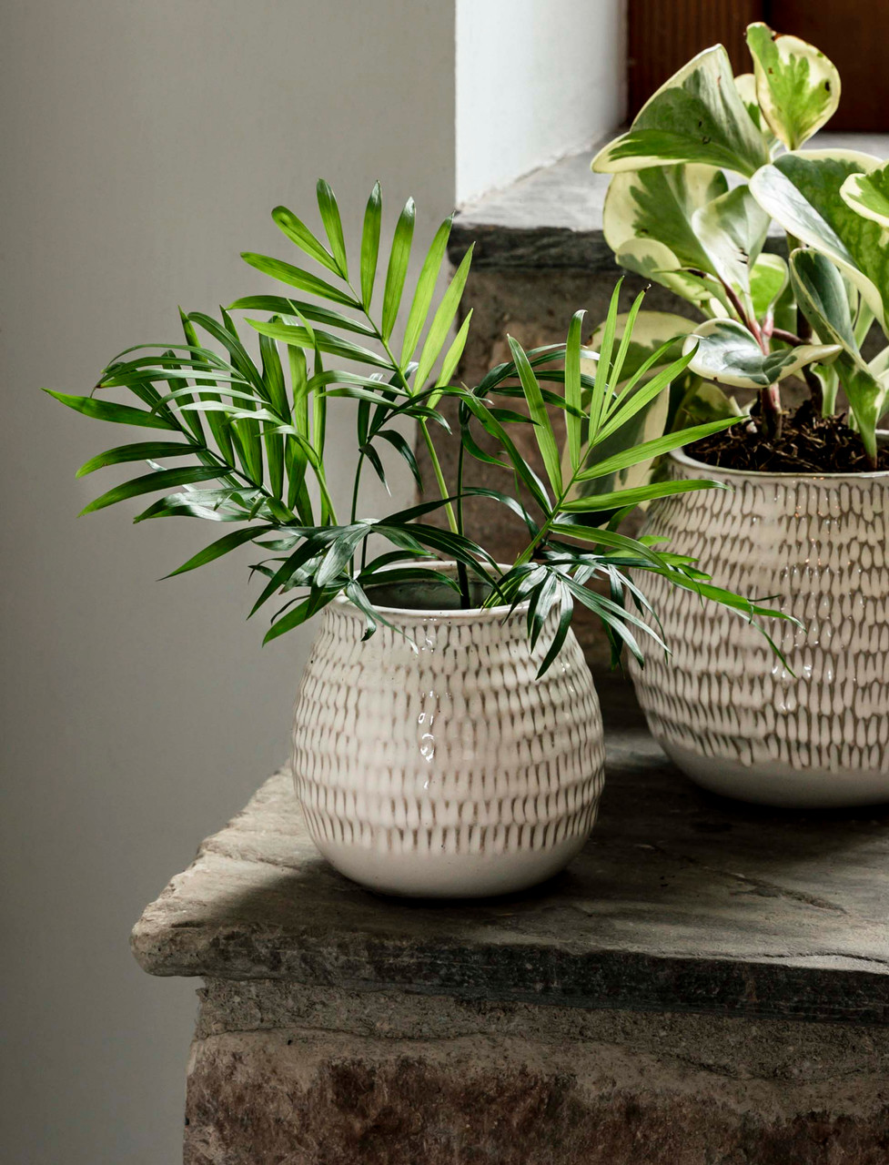 AW24_PFWI01_portrait_1__27050.