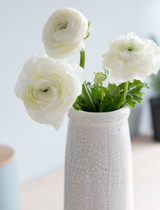 Bottle Vase in White - Ravello | Garden Trading