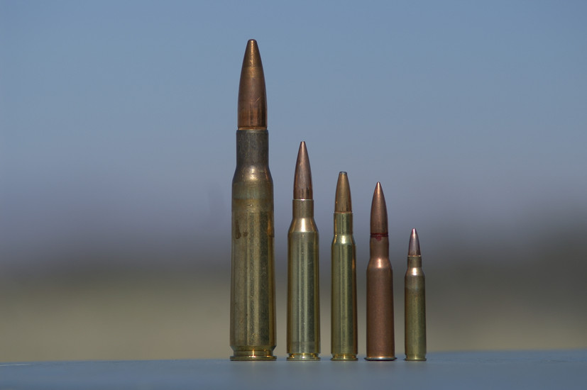 What Ammunition Can You Shoot at AR500 Steel? A Complete Ammo Guide