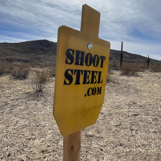 Best Steel Targets for 5.56 and .223 (Complete Buyer’s Guide)