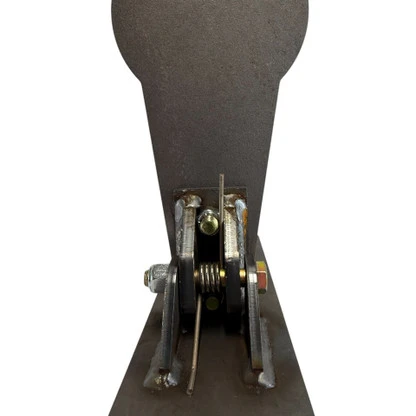 12" AR500 Colt Popper Package