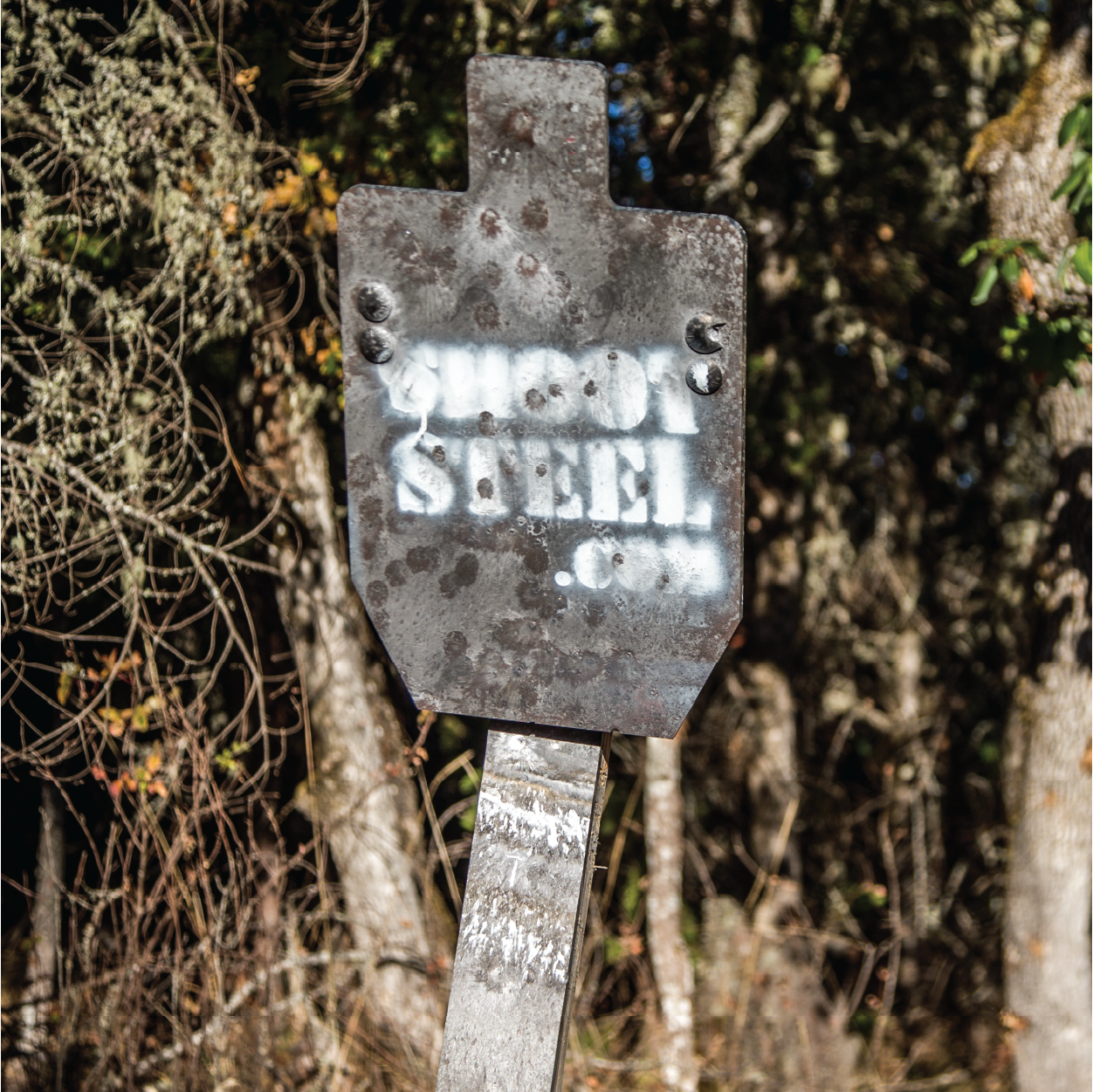 Steel target set up outdoors on grass at a shooting range