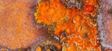 How to Prevent Gun Rusting