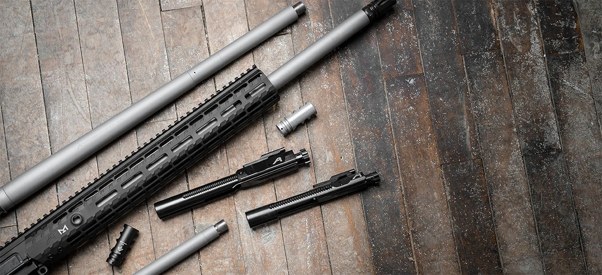 AR-10 Disassembly