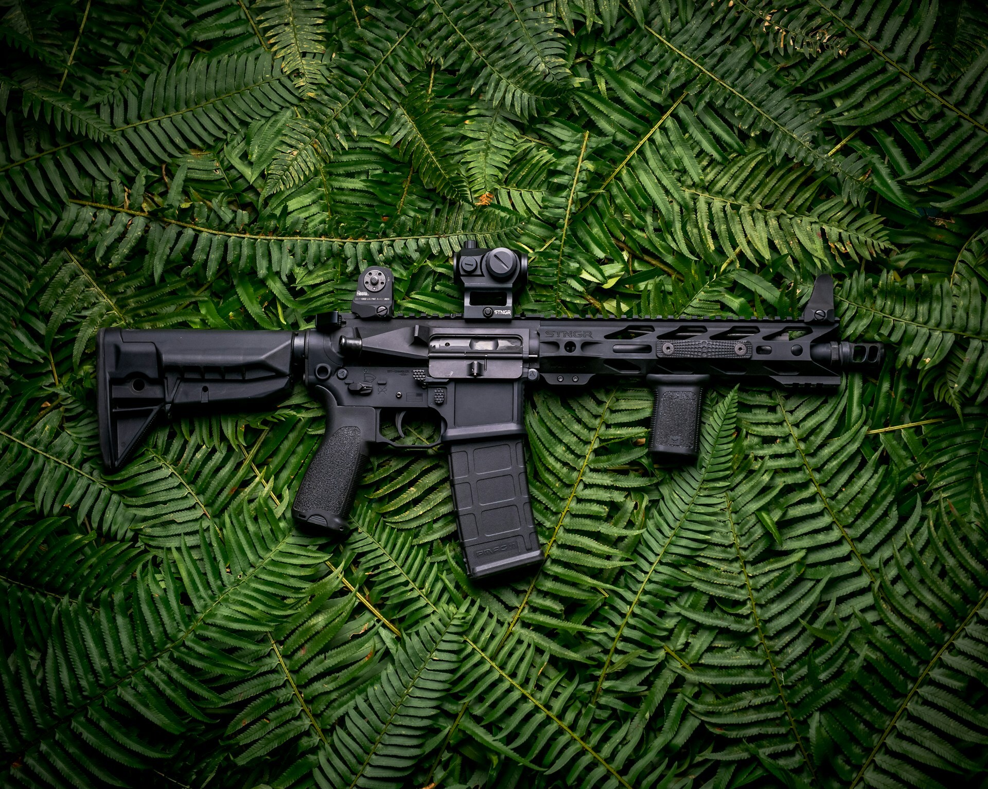 AR-15 with leaves in the background