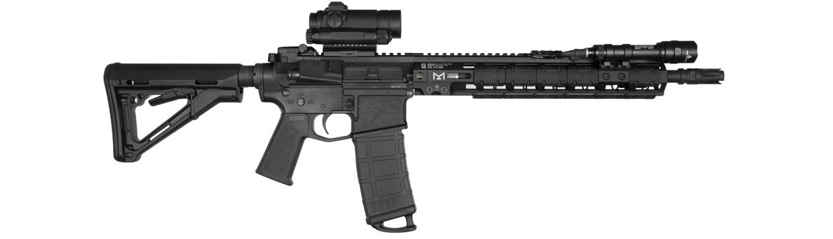 Custom built AR platform rifle with mounted light and optic.