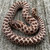 HET FOR SNOW HOGNOSE SNAKE FOR SALE