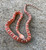 Scaleless Corn Snake (Elaphe guttata) for sale 