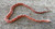 Scaleless Corn Snake (Elaphe guttata) for sale