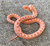 RED Albino Bull Snake for sale (Pitouphis catenifer sayi)