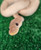 Super Cinnamon Coral Glow Ball Python for sale (Python regius)