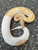 Coral Glow Piebald Ball Python for sale