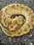 Funky Ball Python for sale