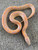 Albino Mosaic Florida King Snake for sale