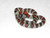 Thayeri Kingsnakes for sale