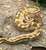 Butter Enchi Ball Python for sale