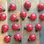 Kisii Stone Ladybug