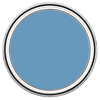 Bathroom Wall & Ceiling Paint - CORNFLOWER BLUE