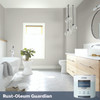 Mould-resistant Light Grey Wall Paint - Guardian 2.5L