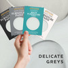 Furniture Paint Samples - Delicate Greys Tester Box