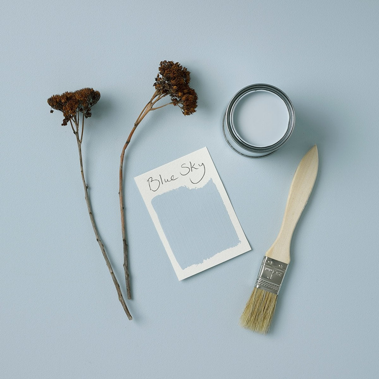 Blue Sky Bathroom Wall & Ceiling Paint Matt Blue