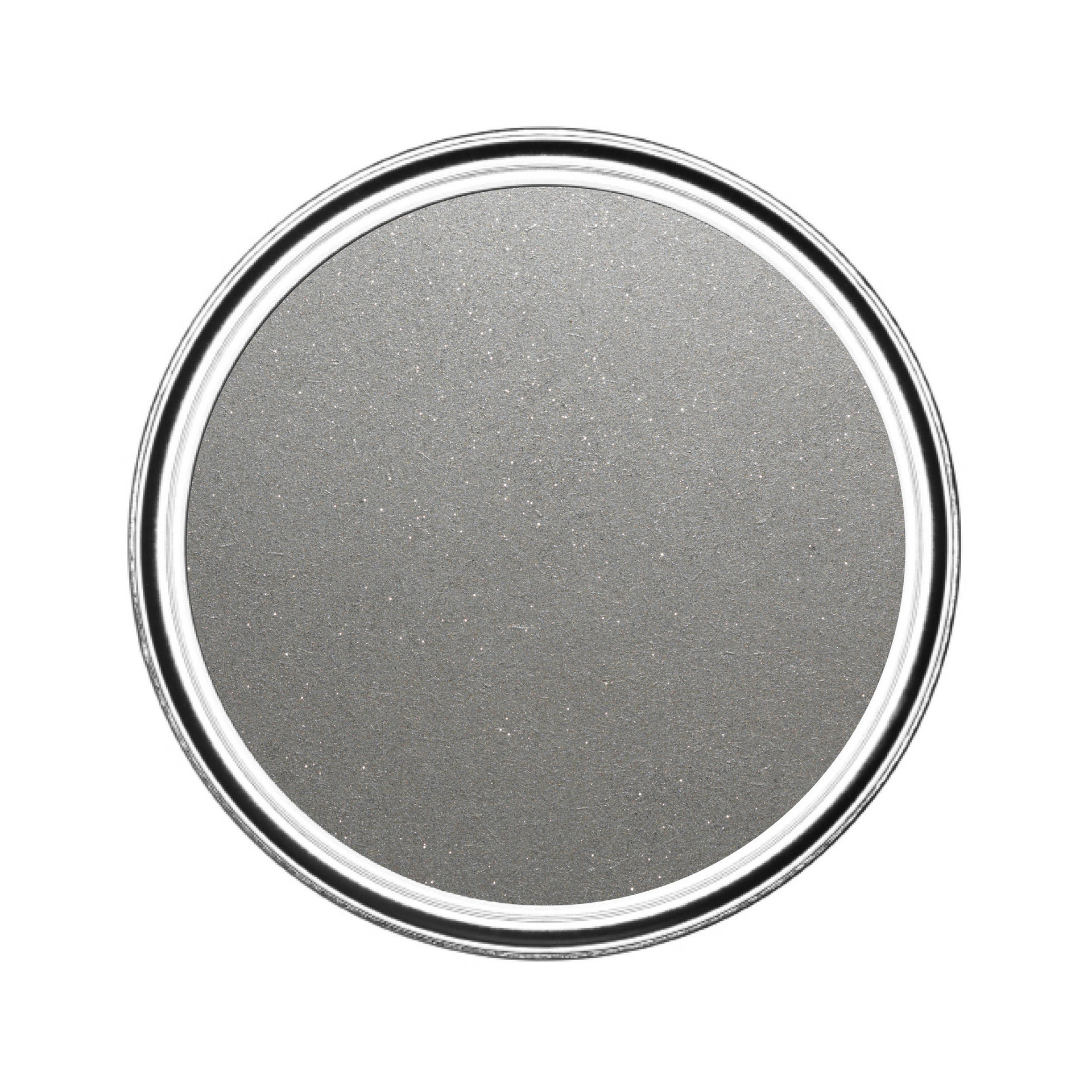 Shimmer Silver Glitter Paint RustOleum