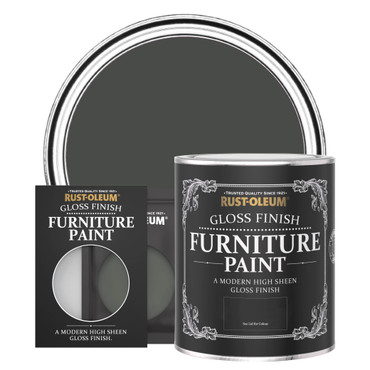 Gloss Furniture Paint - After Dinner