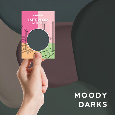 Interior Wood Paint Samples - Moody Darks Tester Box