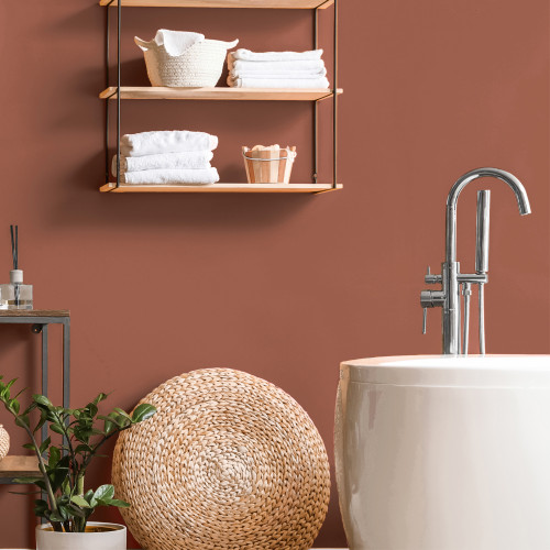 Salmon Bathroom Wall & Ceiling Paint Matt Red