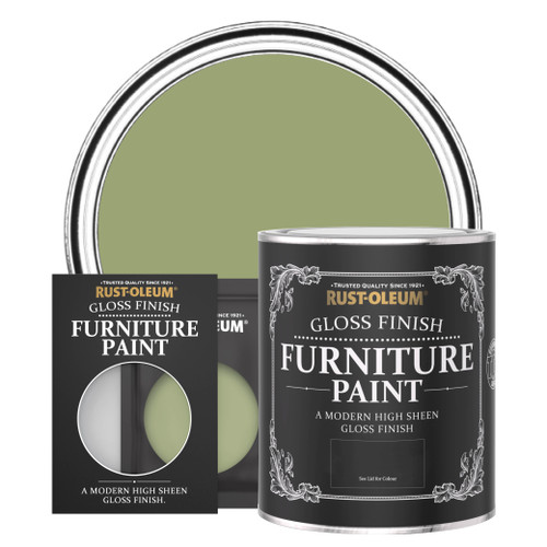 Gloss Furniture Paint - FAMILIAR GROUND