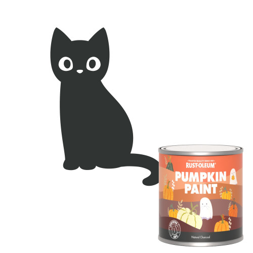 Pumpkin Paint - Natural Charcoal (Black) 250ml