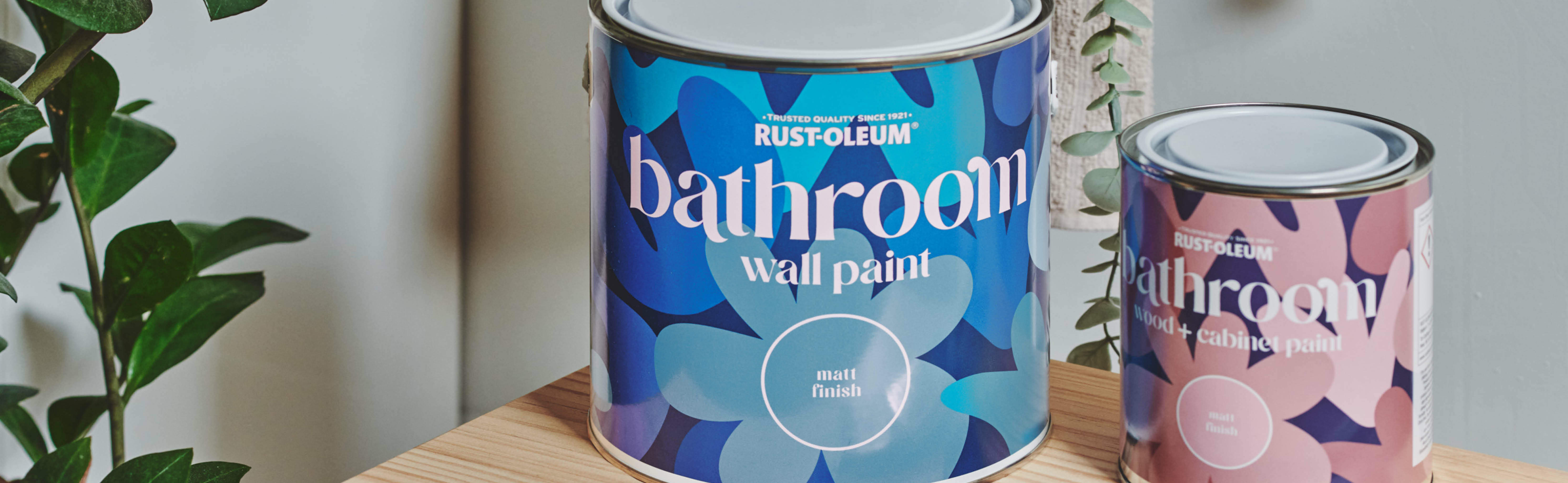 Cans of our Bathroom Wall and Bathroom Wood and Cabinet Paint