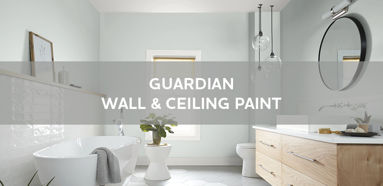 guardian wall and ceiling paint