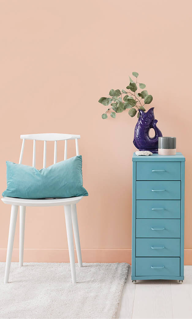 Furniture Paint