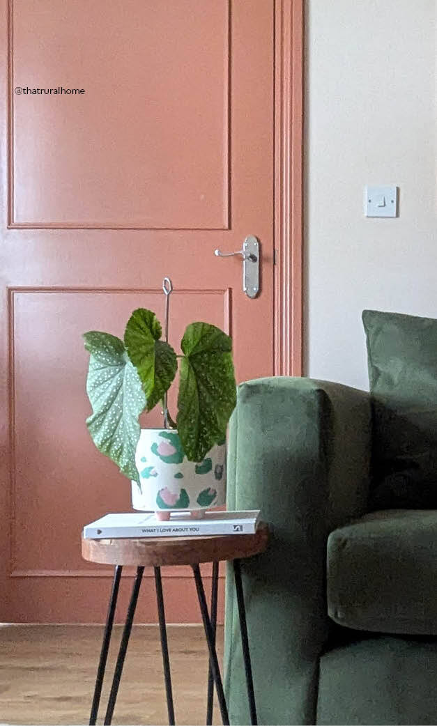 Interior Wood Paint