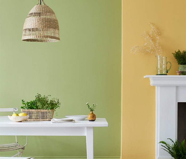 Kitchen Wall sage green and mustard