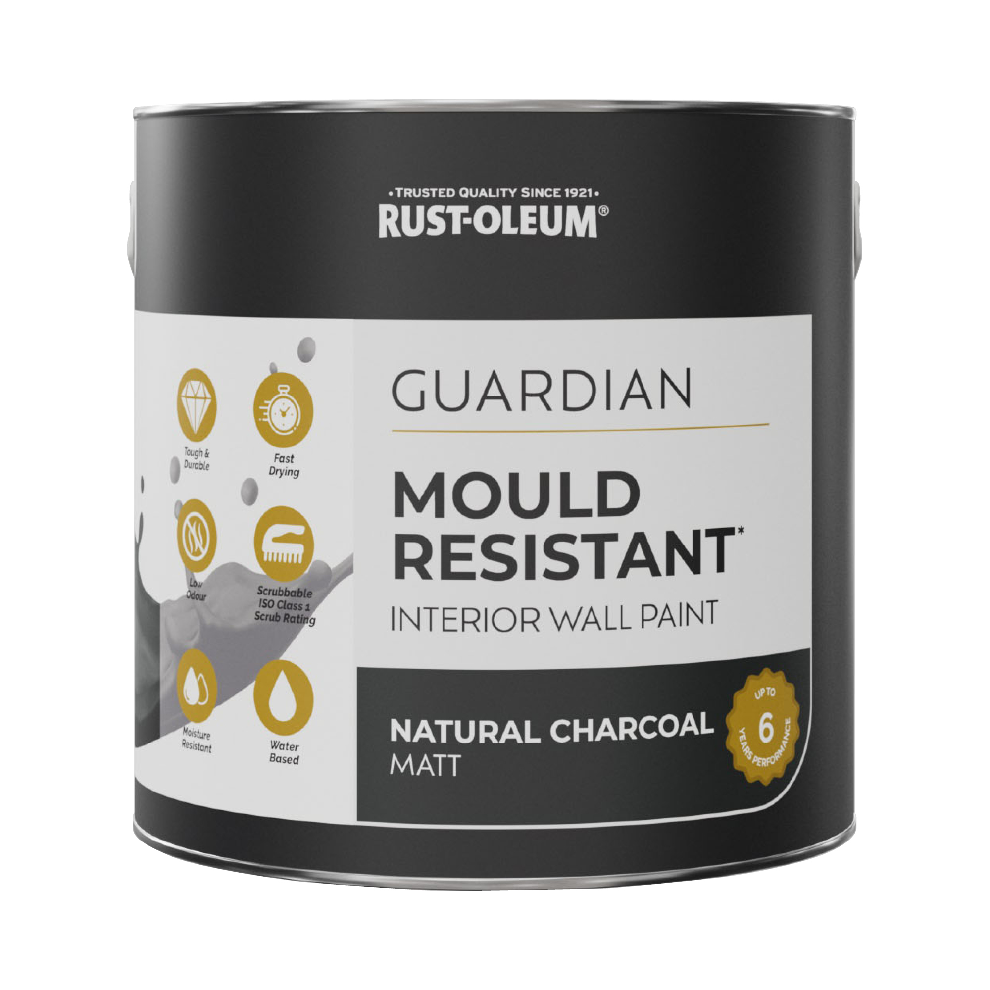 Guardian Mould Resistant Interior Wall Paint - NATURAL CHARCOAL (Black) 2.5L