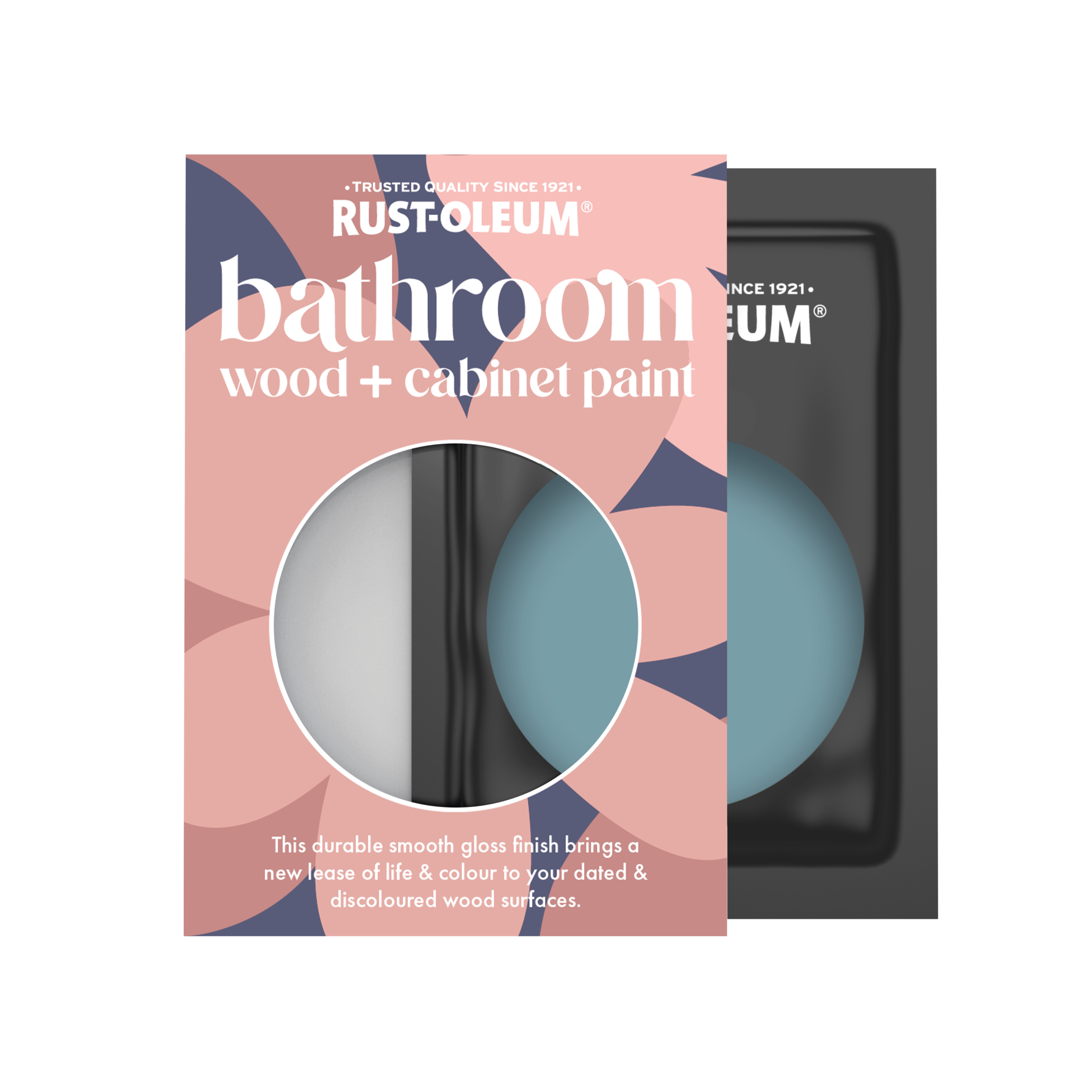 Bathroom Wood & Cabinet Paint, Gloss Finish - PACIFIC STATE 10ml