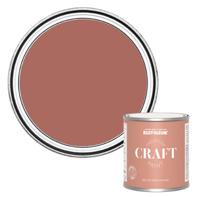 Premium Craft Paint - Salmon 250ml