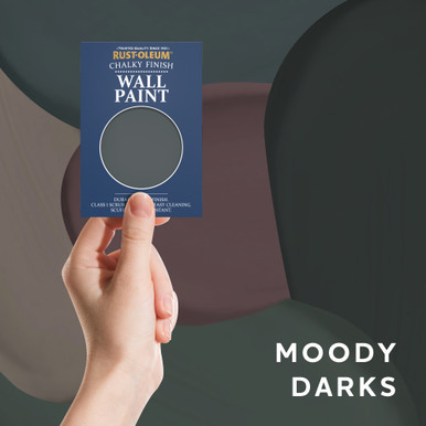 Wall & Ceiling Chalky Finish Paint Samples - Moody Darks Tester Box