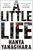 Little Life Uk Edition