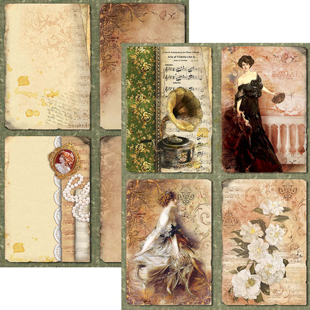 Essay on bella 06 image