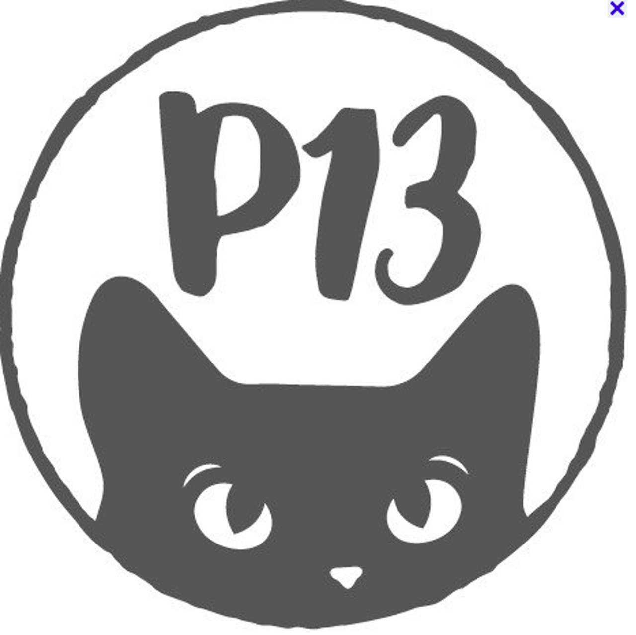 P13