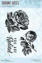 Blue Fern Studios - Radiance Collection Clear Stamp - Radiant Roses (689572) Blue Fern Studios - Radiance Collection Clear Stamp - Radiant Roses (689572)