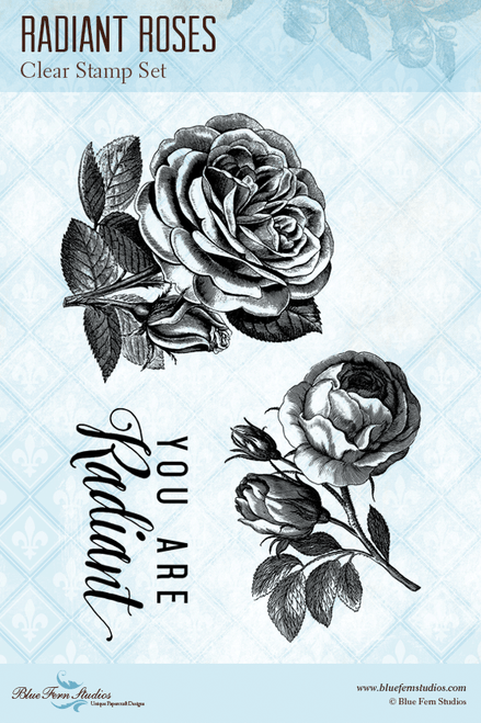 Blue Fern Studios - Radiance Collection Clear Stamp - Radiant Roses (689572)