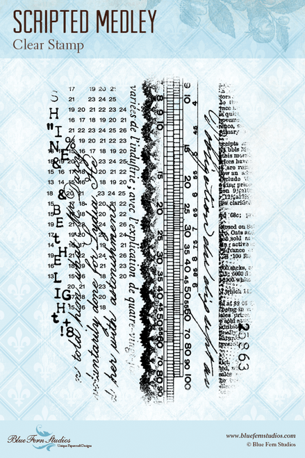 Blue Fern Studios - Radiance Collection Clear Stamp - Scripted Medley (689879)