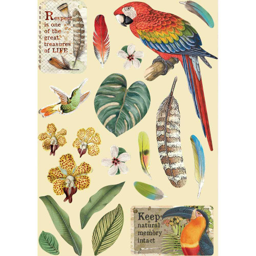 Stamperia - Wooden Shapes - Amazonia - Parrot (KLSP095)