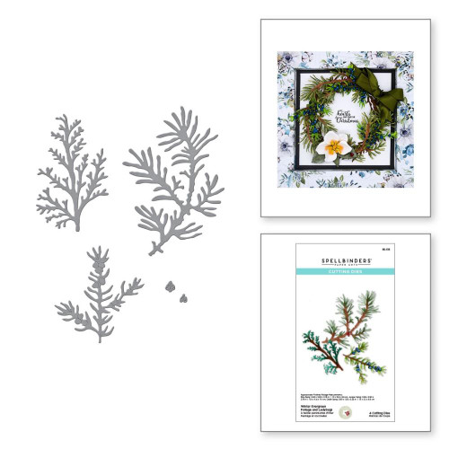 Spellbinders Etched Dies By Susan Tierney-Cockburn - Winter Evergreen Foliage - Winter Garden (S5515)
